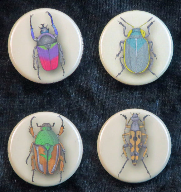 Beetle Buttons/ Magnets | Creepy Christine | Art & Curiosities ...